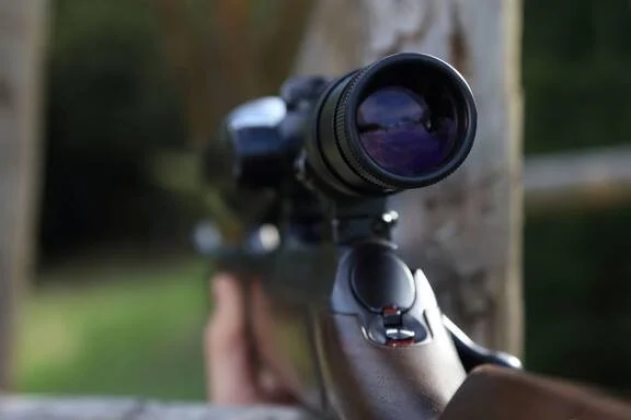 Firearm Firearm
