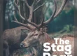 The Stage Roar Podcast