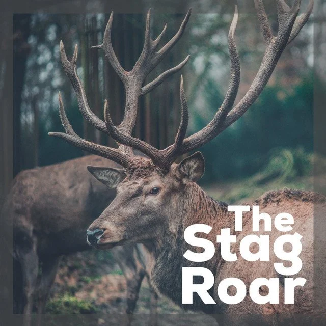 The Stage Roar Podcast